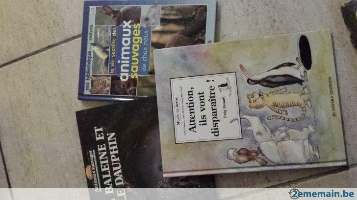 Animaux sauvages- Attention ils vont disparaître-la baleine, Nieuw