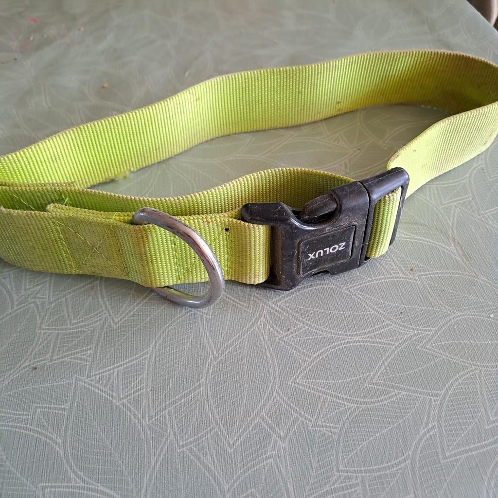 Hondenhalsband, Enlèvement, Comme neuf