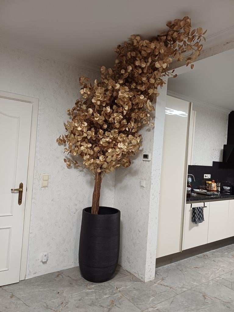 Gouden boom NIUWE, Enlèvement