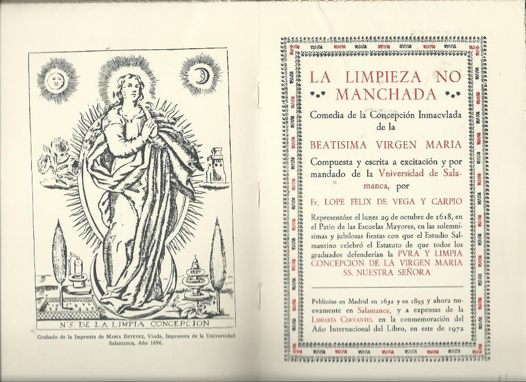 La limpieza no manchada, Boeken, Taal | Spaans, Zo goed als nieuw, Fictie, Ophalen of Verzenden