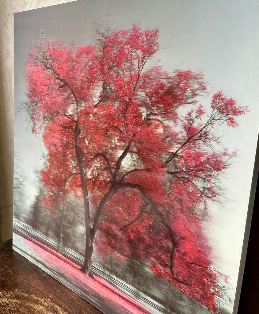 Prachtige 3D-foto van bomen op hardboard., Ophalen