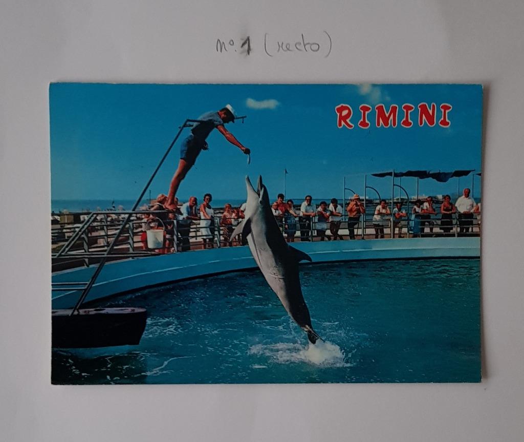 Oude ansichtkaart met dolfijn, Verzamelen, Postkaarten | Dieren, Gelopen, 1980 tot heden, Overige soorten, Ophalen of Verzenden