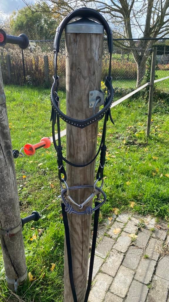 Hoofdstel cob, Ophalen of Verzenden, Zo goed als nieuw