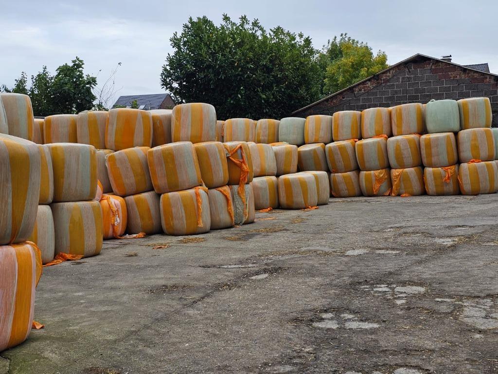 Maisbalen Maispakken middi  350 kg 250kg, Ophalen