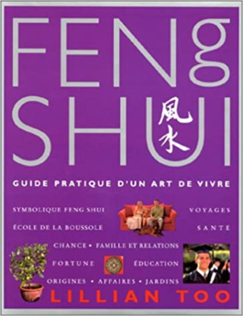 Feng shui guide pratique d'un art de vivre Lilian Too, Livres, Enlèvement ou Envoi, Comme neuf