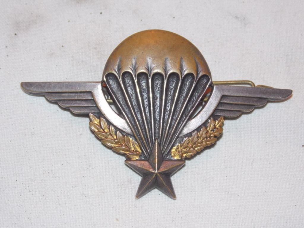 Franse para wings, Ophalen of Verzenden, Landmacht, Lintje, Medaille of Wings