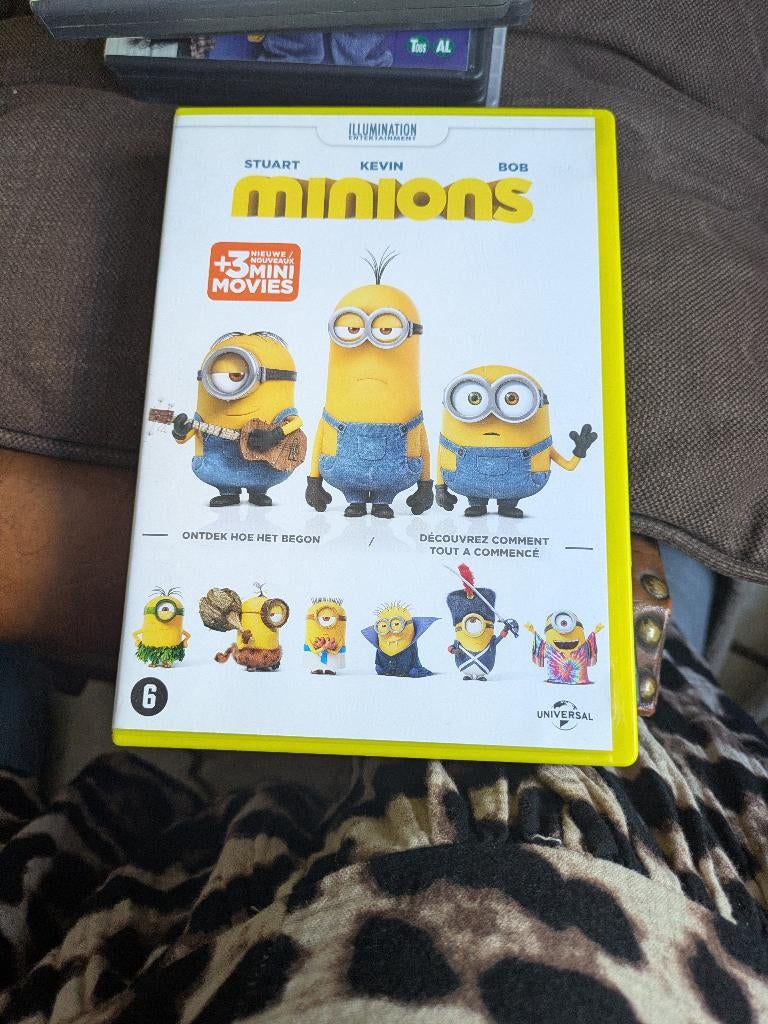 Minions, Ophalen of Verzenden, Gebruikt
