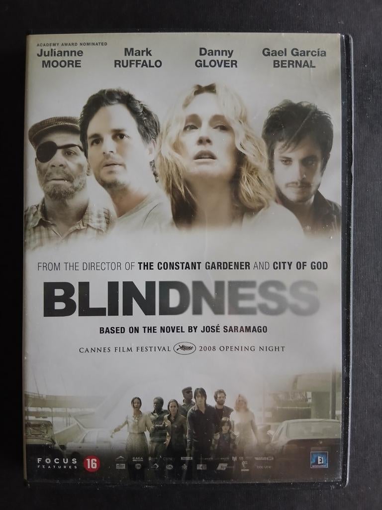 Blindness (2008) Julianne Moore, Danny Glover, CD & DVD, DVD | Thrillers & Policiers, À partir de 16 ans, Enlèvement ou Envoi