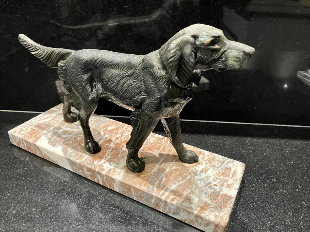 Hond (Setter) , bruin gepattineerd brons op marmeren voet, Enlèvement, Comme neuf