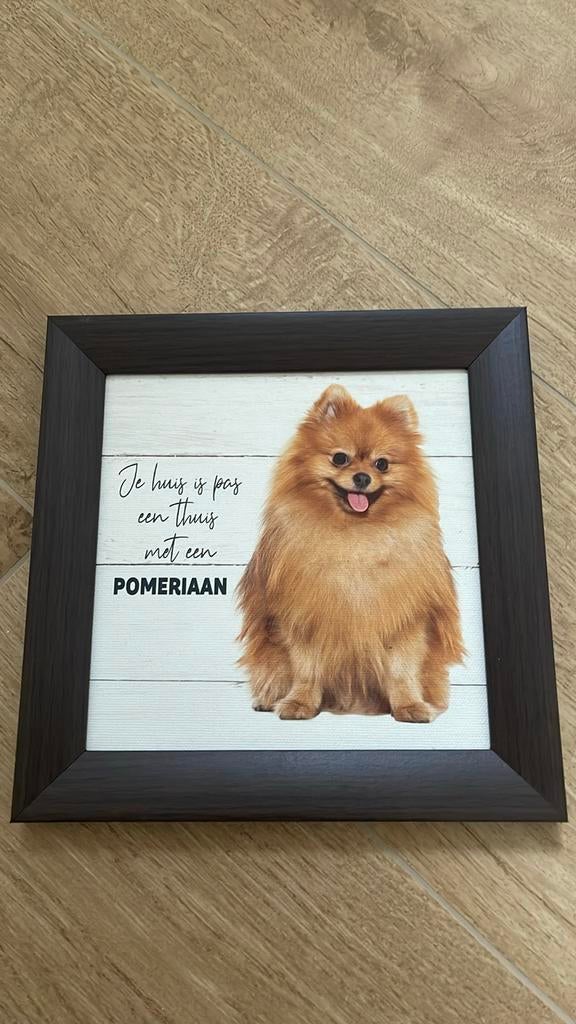 Kadertje pomeriaan, Enlèvement ou Envoi, Neuf