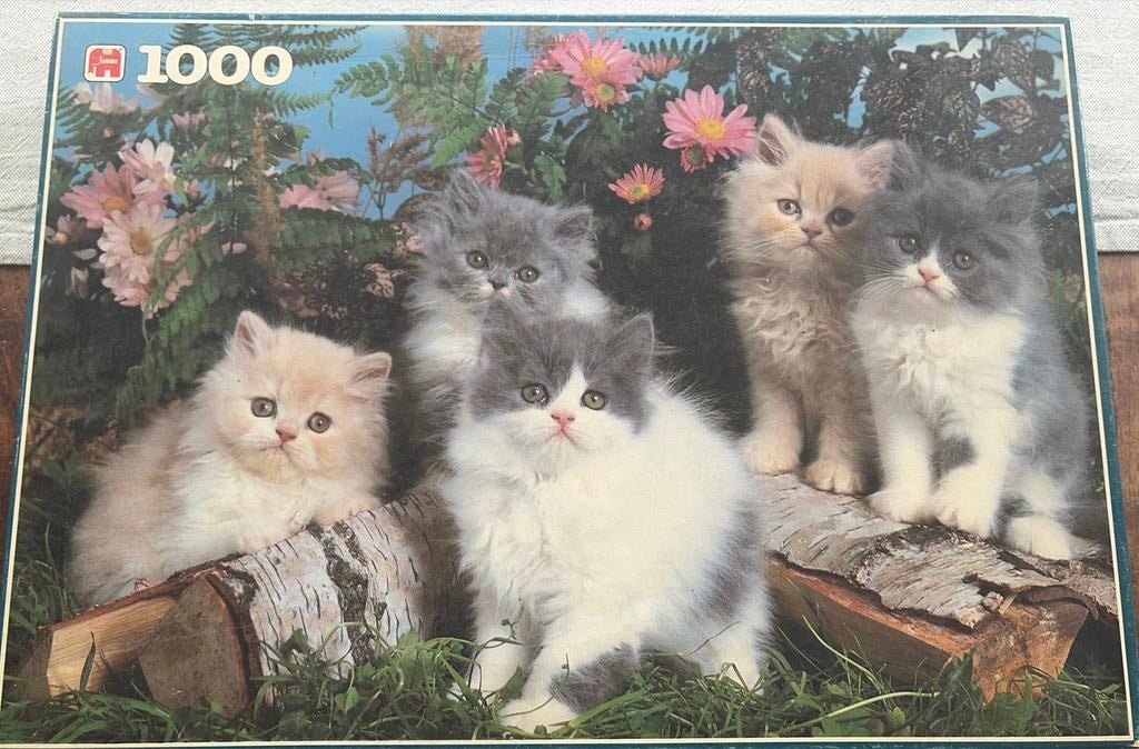 Puzzel Perzische poesjes 1000 stuks, Hobby en Vrije tijd, Ophalen, Zo goed als nieuw
