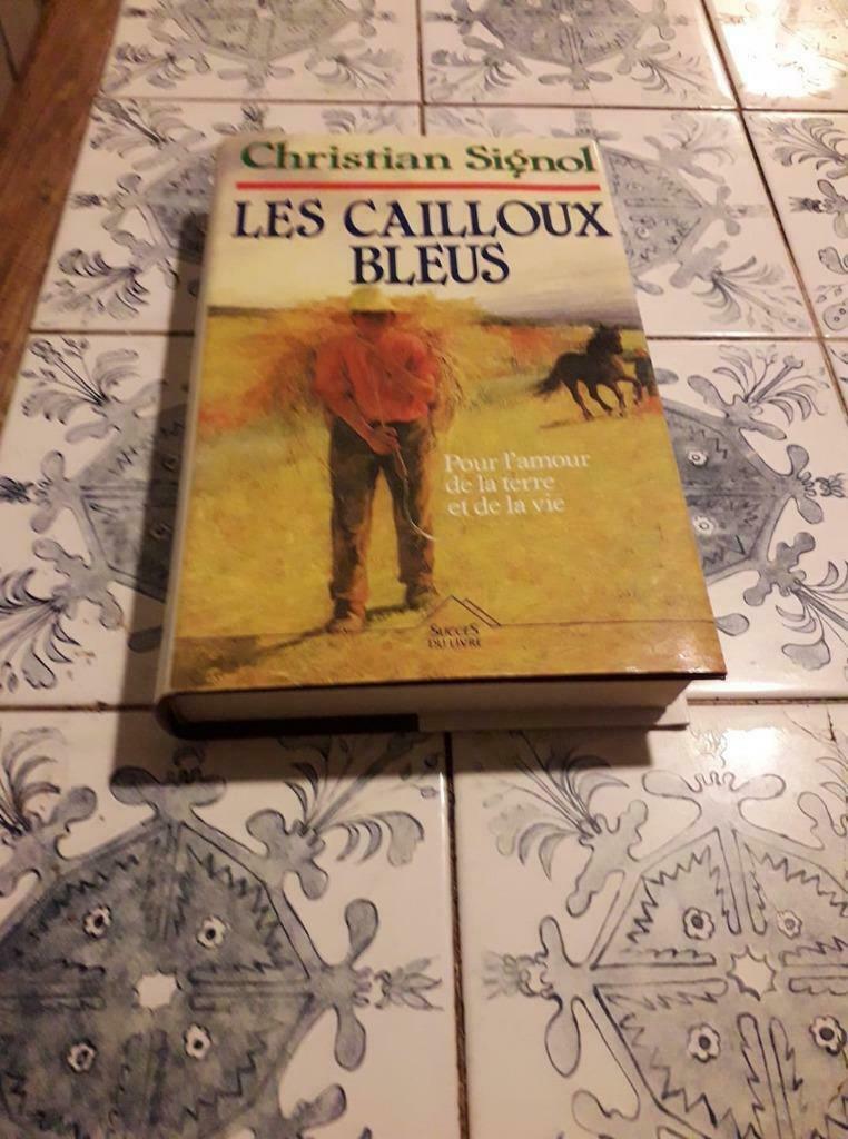 Livre roman LES CAILLOUX BLEUS C.SIGNOL, Ophalen of Verzenden, Gelezen
