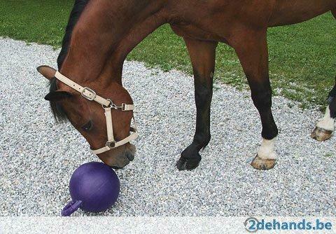 Paardenspeelgoed Agrodieren, de beste prijzen, Dieren en Toebehoren, Stalling en Weidegang