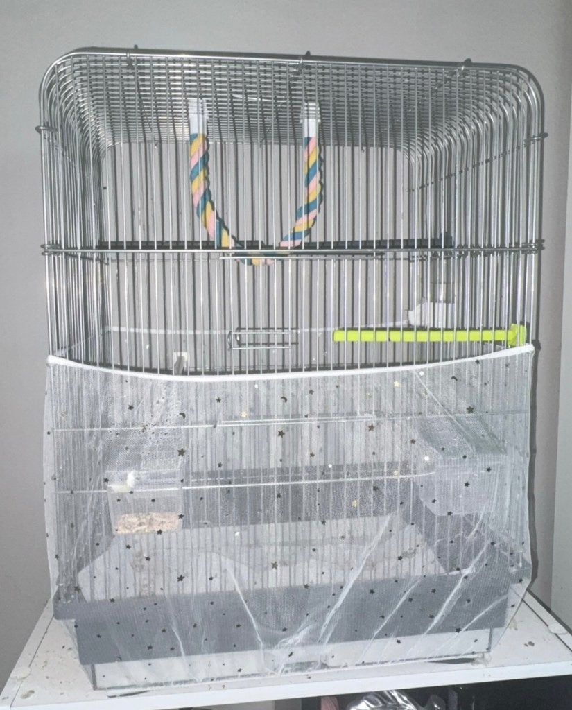 Cage, Enlèvement, Utilisé, Cage à oiseaux