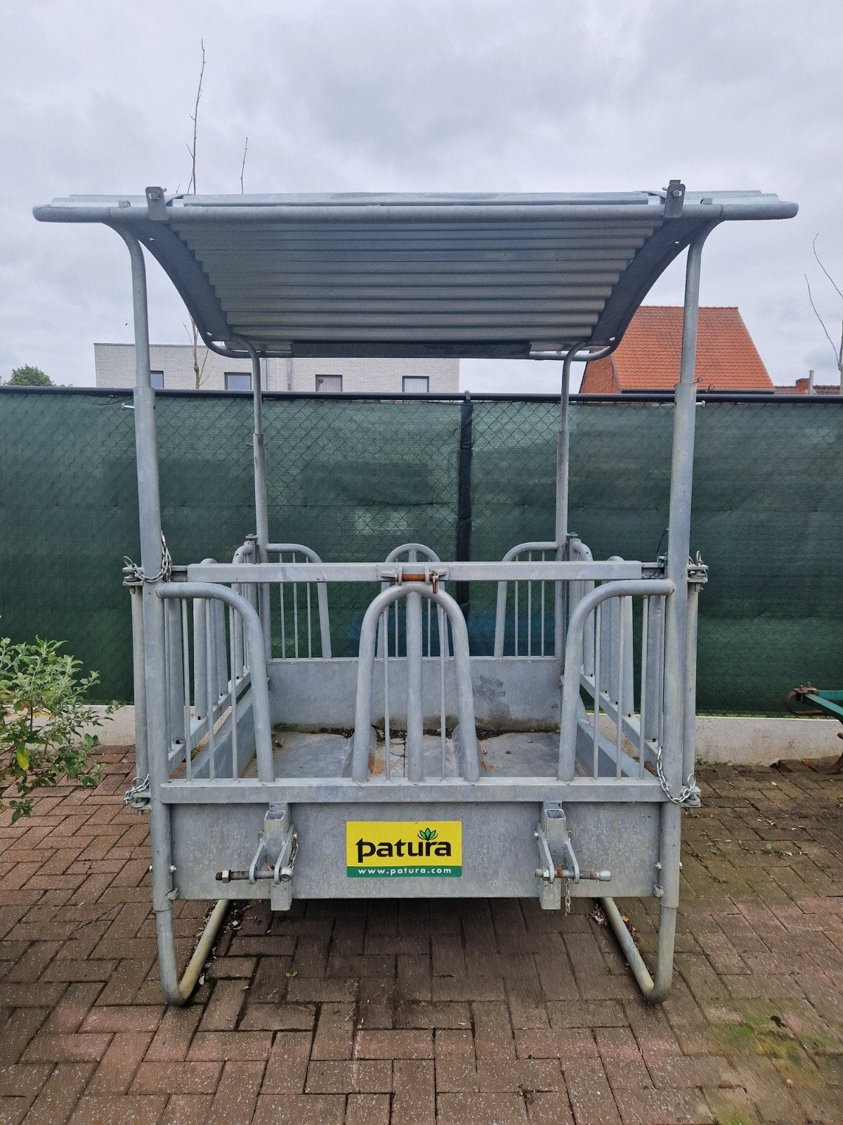 Ruif Patura., Animaux & Accessoires, Chevaux