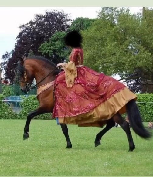 Spaanse jurk/ robe de spectacle/ onderlegger borstriem, Animaux & Accessoires, Vêtements d'équitation, Enlèvement ou Envoi, Comme neuf
