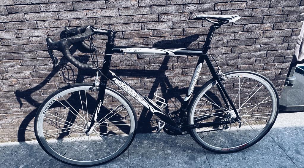 Ridley racefiets – maat L (60 cm) + schoenen Shimano 45, Enlèvement
