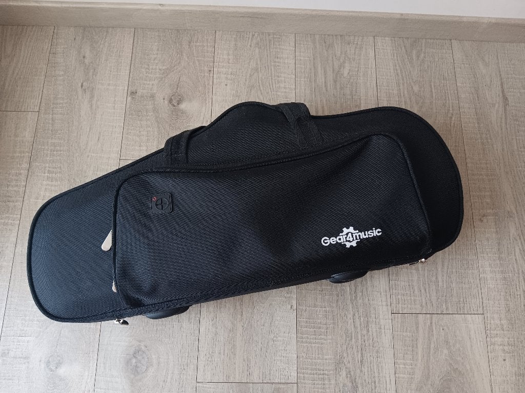 Altsaxofoon koffer, Muziek en Instrumenten, Ophalen