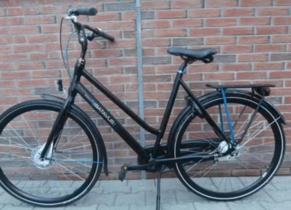 BATAVUS Chicane damesfiets, Ophalen, Batavus, Versnellingen