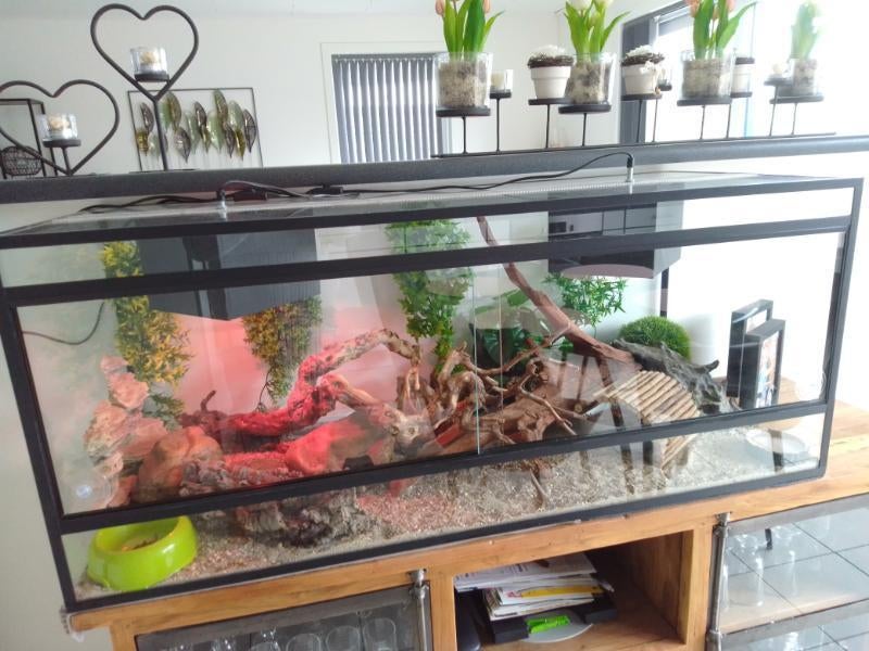 Terrarium, Dieren en Toebehoren, Ophalen