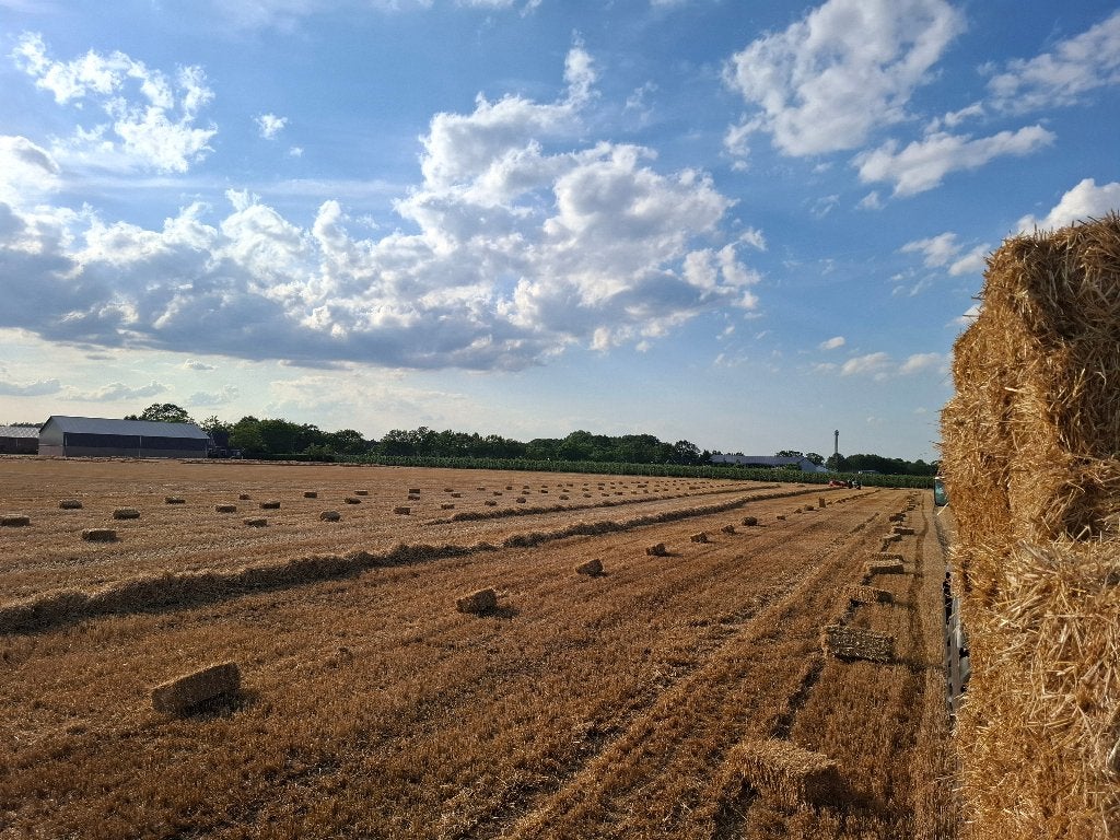 Kleine pakjes hooi en stro, Enlèvement
