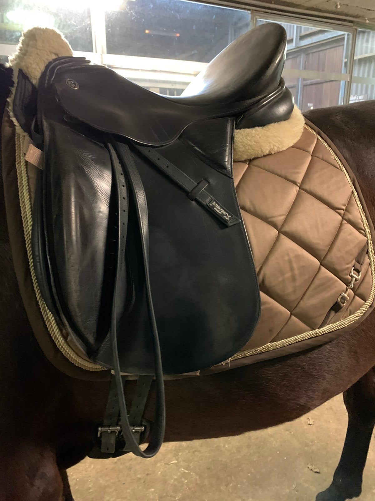 Dressuur zadel, Dieren en Toebehoren, Ophalen, Zo goed als nieuw, Dressuur