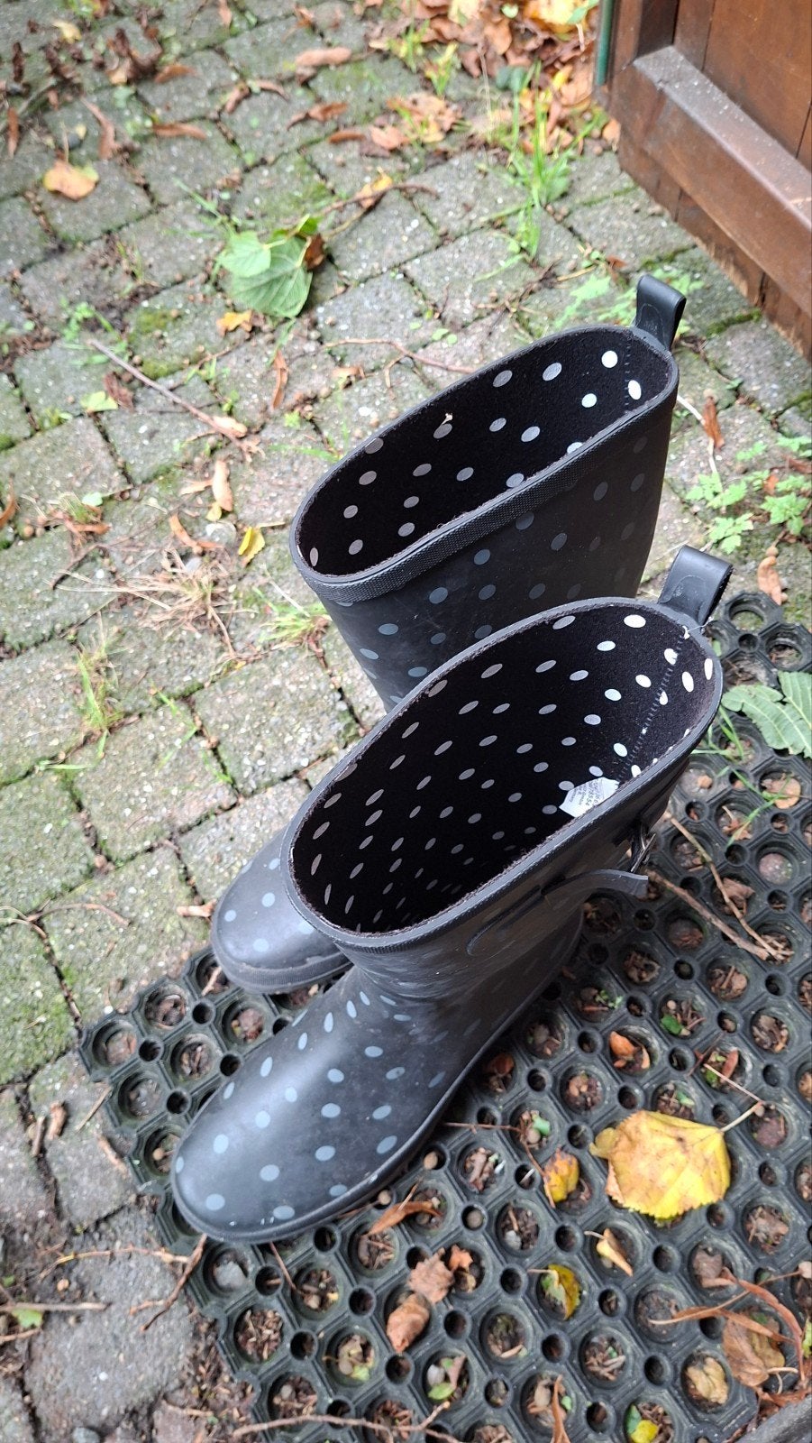 regenbotten 41, Tuin en Terras, Ophalen
