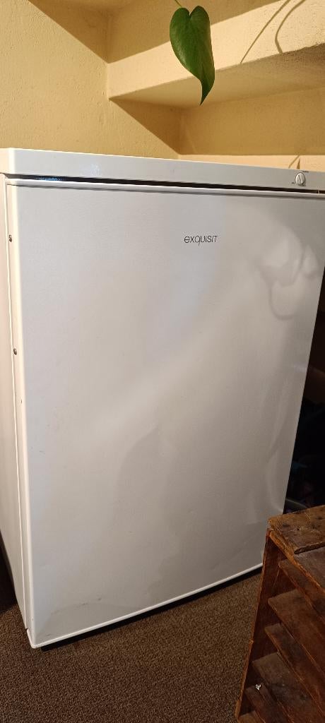 Vriezer Exquisit 82L 94Kwh A+++, Elektronische apparatuur, Gebruikt, Energieklasse A of zuiniger, Vrijstaand, Ophalen