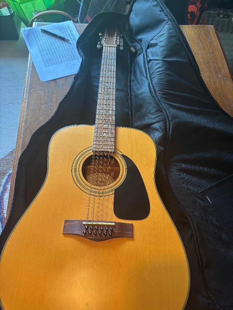 Fender DG-10/12 NS 12-snarige akoestische gitaar, Muziek en Instrumenten, Ophalen, Zo goed als nieuw, Overige typen, 12-snarig