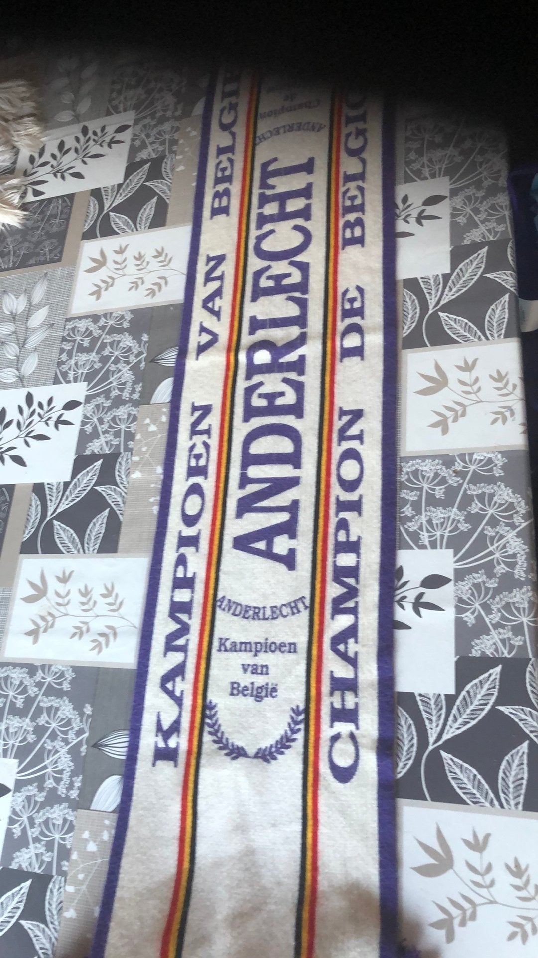 Sjaal rsca, Kleding | Heren, Ophalen of Verzenden, Sjaal