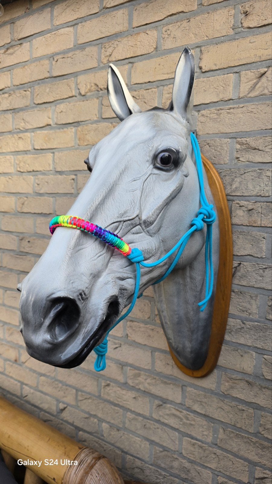 touwhalster met regenboog neusafwerking, Dieren en Toebehoren, Ophalen of Verzenden