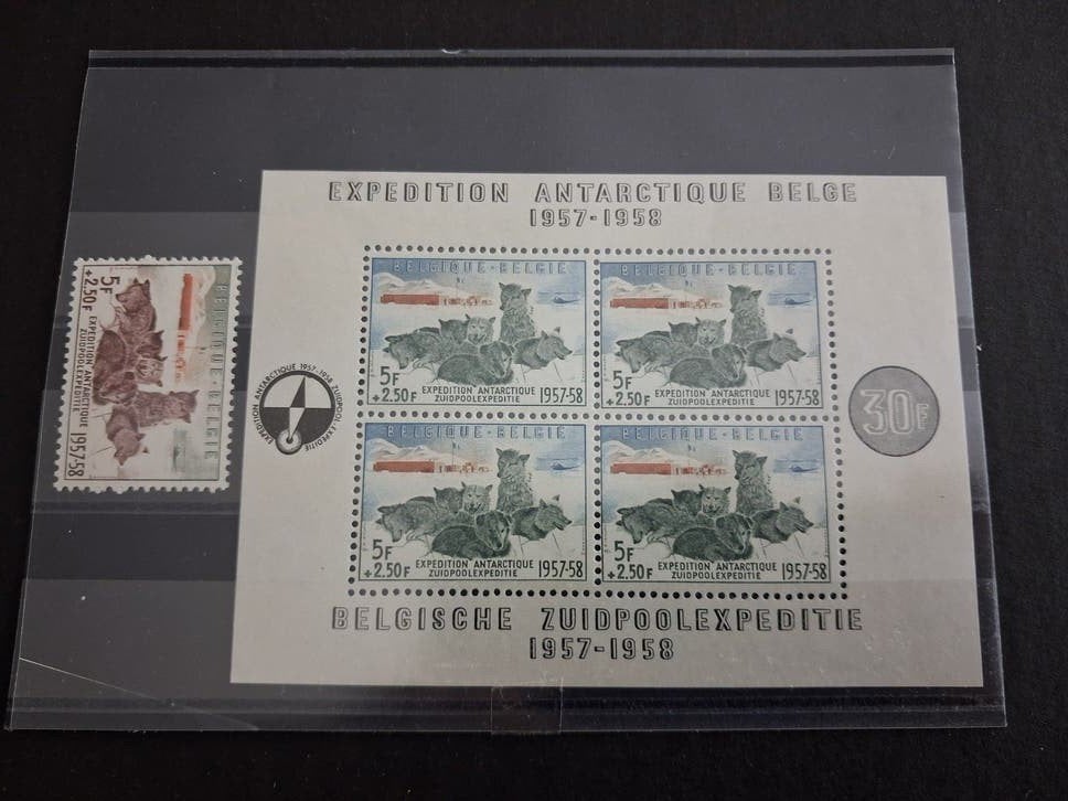 België: Blok 31* - 1030** Zuidpool expeditie 1957, Verzenden, Orginele gom, Kunst, Zonder stempel