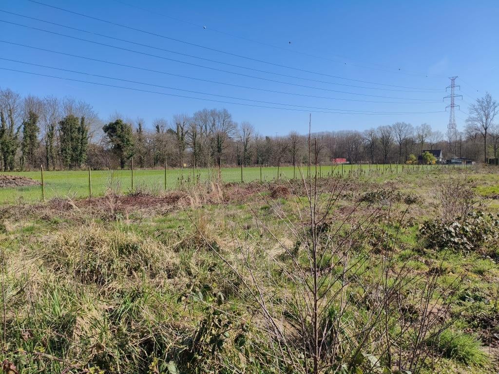Uniek perceel Weide- & Bosgrond te koop - 3000m², Immo, Gronden en Bouwgronden, Lummen., 1500 m² of meer