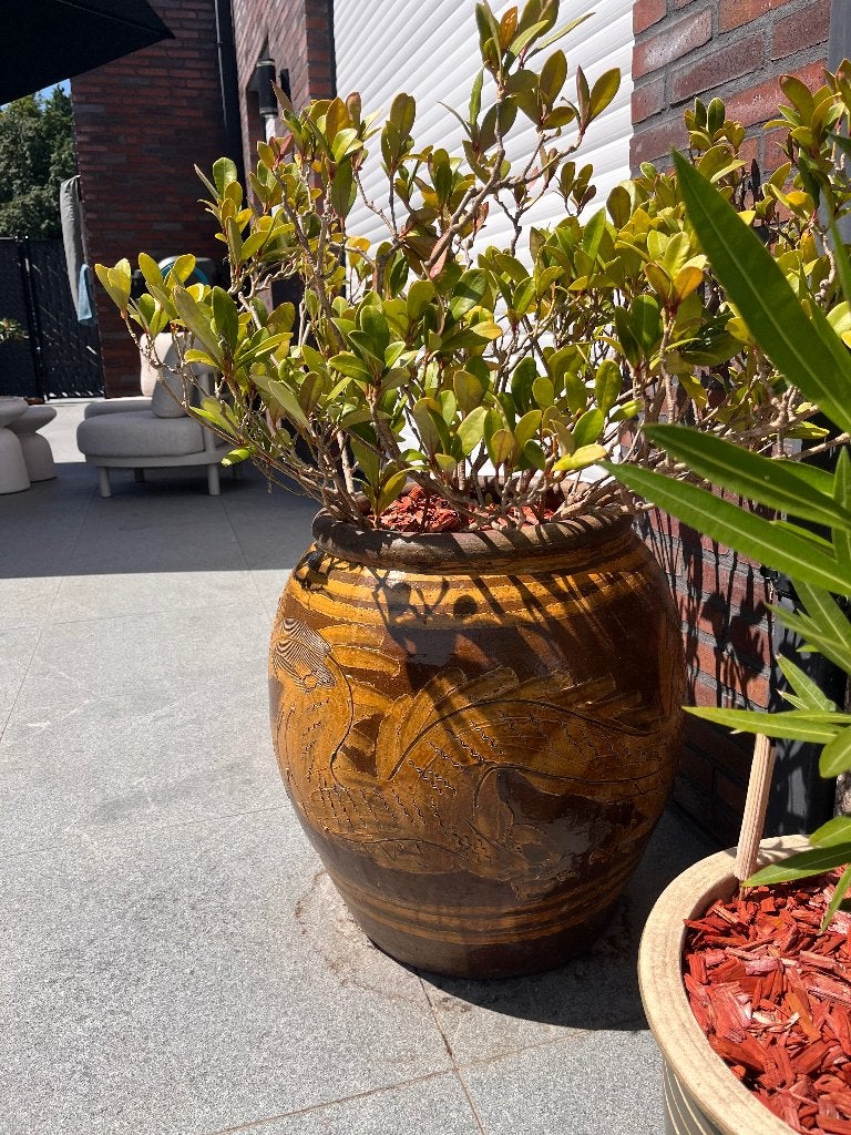 Prachtige grote Chinese eierpot met drakenmotief 250€ nu !, Tuin en Terras, Ophalen, Zo goed als nieuw, Balkon