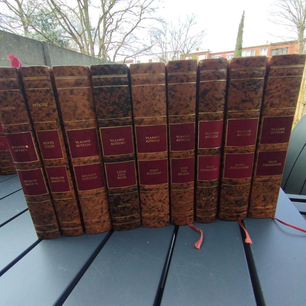 Vlaamse auteurs, Ophalen, Gelezen, Werner Beckers, België
