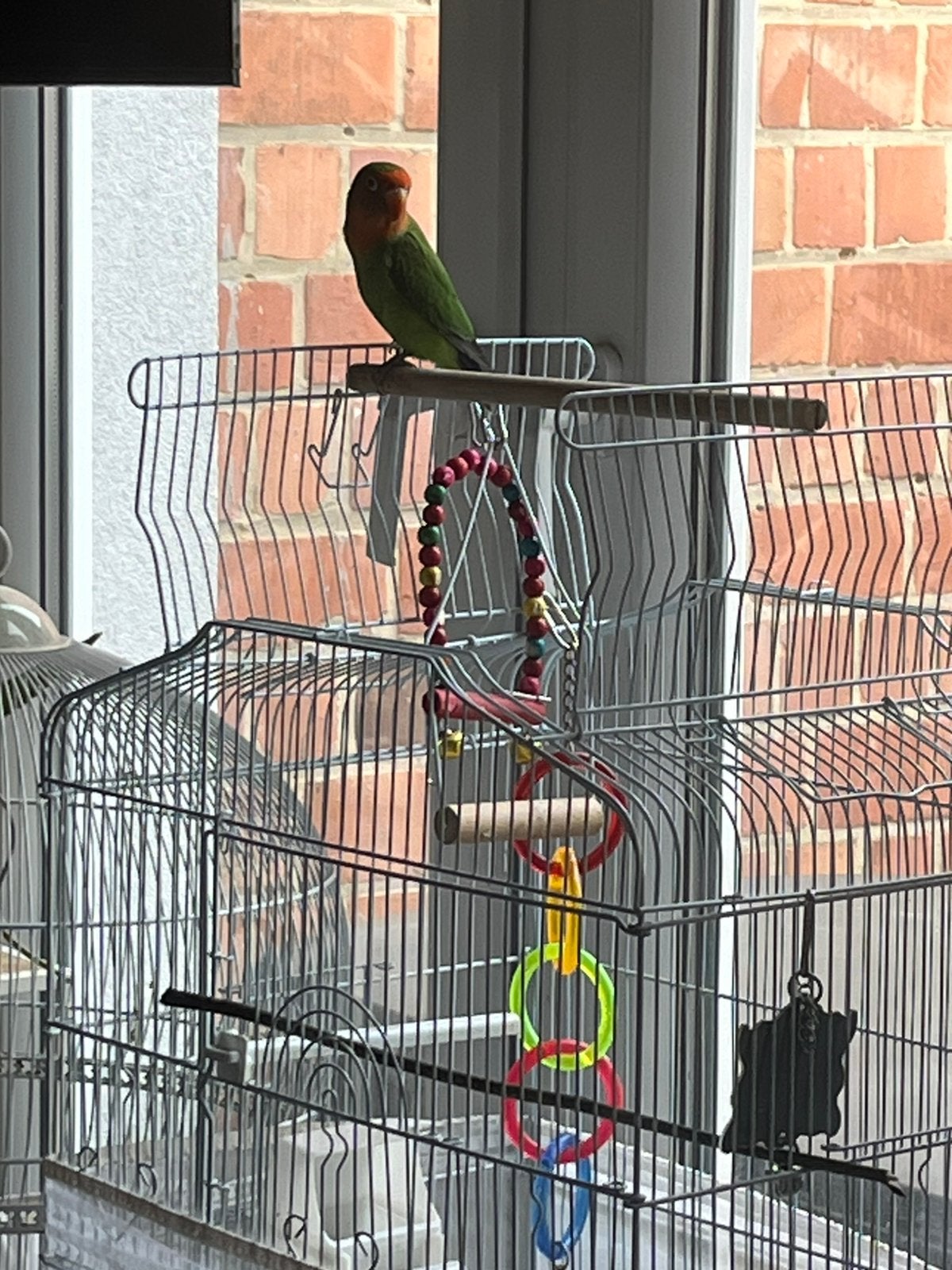 Vogelkooi met accessoires en speelgoed, Ophalen of Verzenden, Zo goed als nieuw, Aluminium, Vogelkooi
