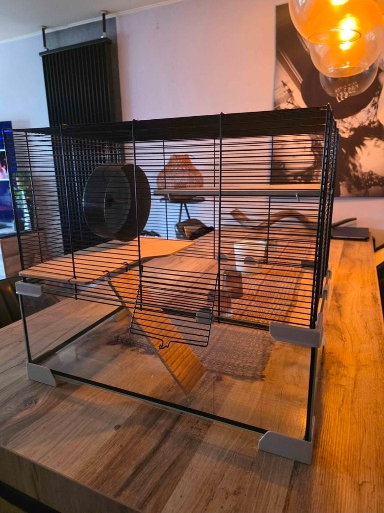 Cage pour rongeurs, Animaux & Accessoires, Enlèvement ou Envoi, Moins de 60 cm, Cage, Comme neuf