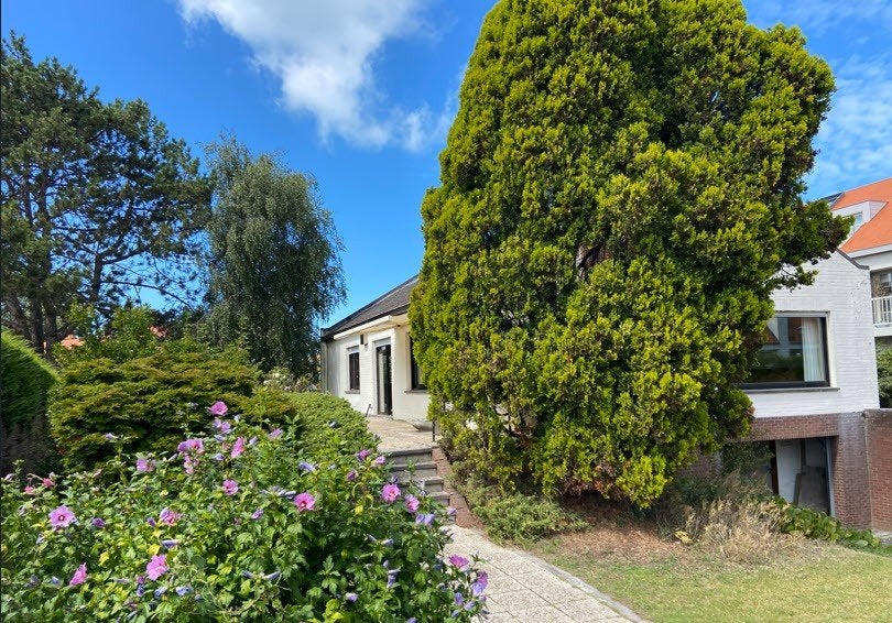 te huur vakantiewoning Koksijde - Sint-Idesbald, 8 personen, Internet, Dorp, Antwerpen of Vlaanderen