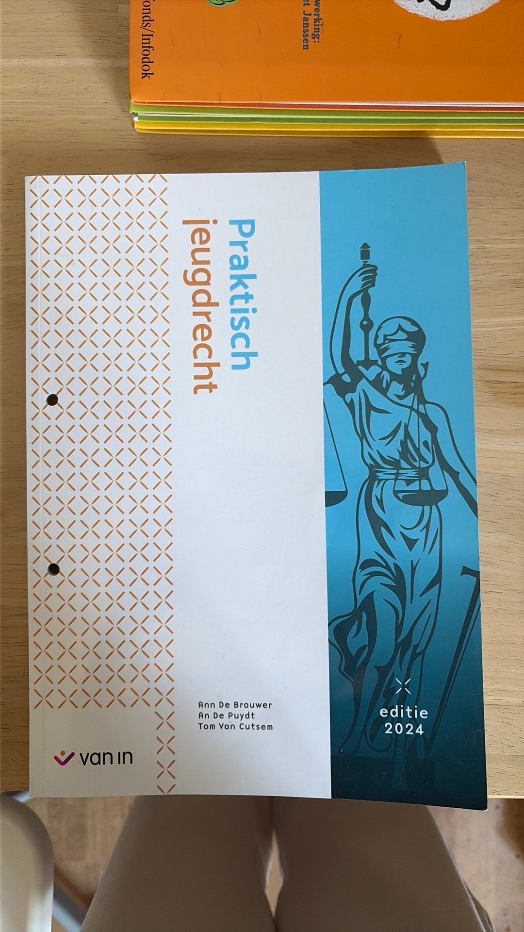 Praktisch jeugdrecht 2024, Livres, Enlèvement ou Envoi, Néerlandais