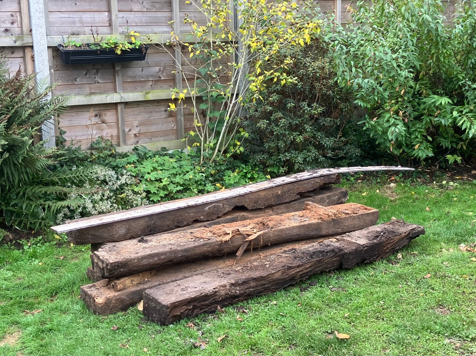 Oude, gebruikte treinbiels - gratis, Ophalen, Gebruikt, Hout, Biels