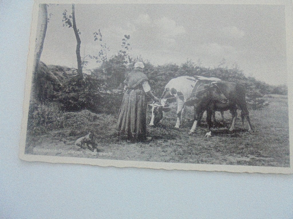 brabants dorps leven - de weide, Collections, Enlèvement ou Envoi, 1920 à 1940, Non affranchie, Brabant Flamand