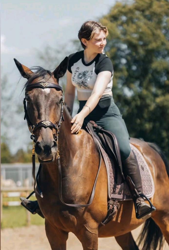 Zadelmak maken & trainen van uw paard, Accessoires, 4 paarden of pony's of meer