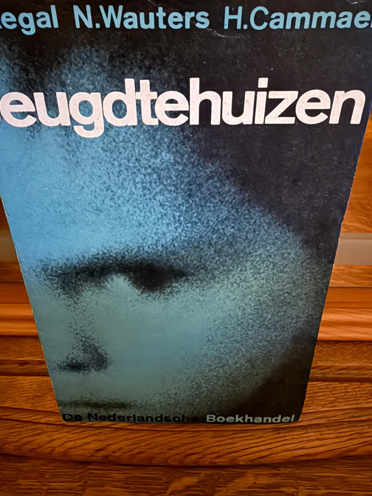 Jeugdtehuizen, Ophalen of Verzenden, Zo goed als nieuw