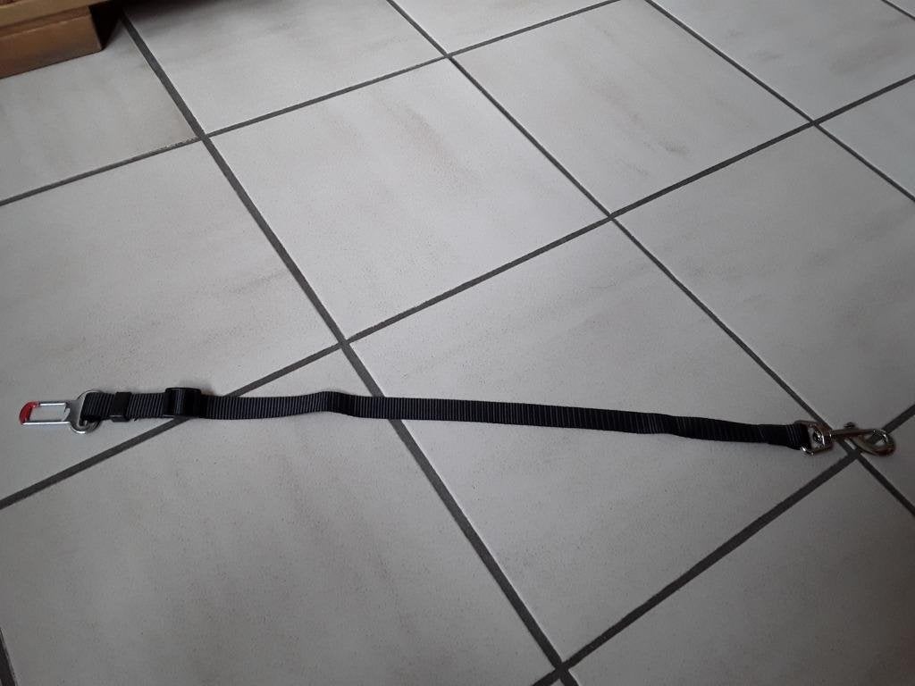 Ceinture de sécurité Pour chien ou chat, Enlèvement ou Envoi, Neuf