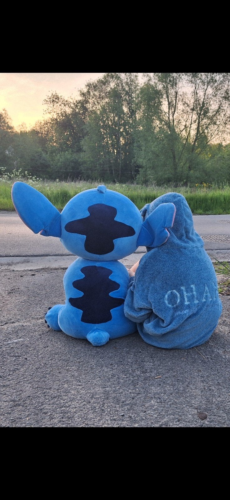 Stitch (70 cm) zoekt een nieuw baasje, Ophalen