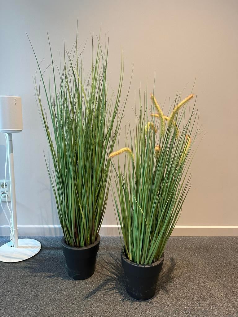 Kunstplanten, Huis en Inrichting, Kamerplanten, Ophalen
