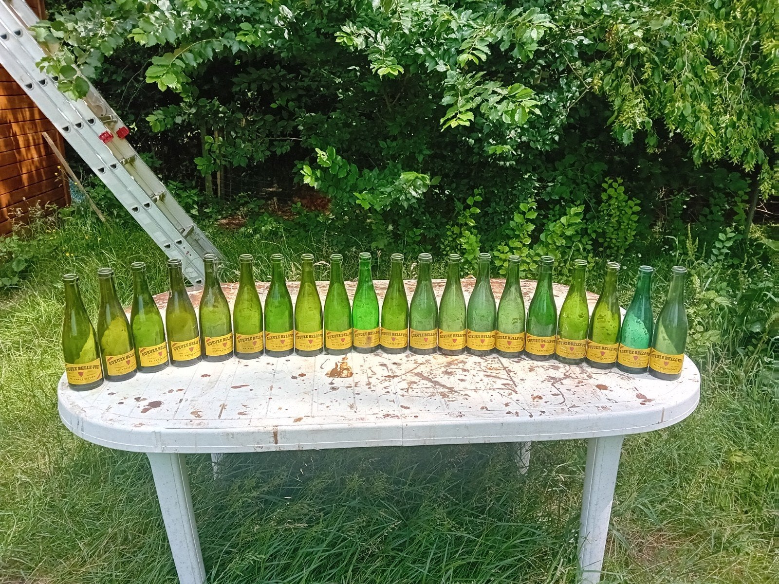 Oude bierflessen geuze brouwerij Belle vue Anderlecht, Verzamelen, Biermerken, Ophalen of Verzenden