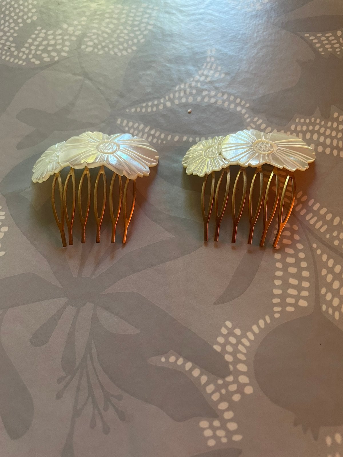 Anciens peignes a cheveux mariage en nacre, Bijoux, Sacs & Beauté, Enlèvement