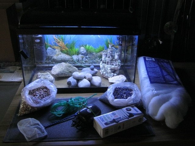 aquarium complet, Enlèvement, Utilisé, Aquarium d'eau douce rempli