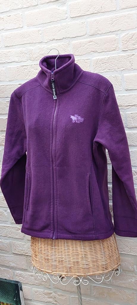 Vliesgolf maat m touch down, Kleding | Dames, Truien en Vesten, Maat 38/40 (M), Paars, Ophalen of Verzenden, Zo goed als nieuw